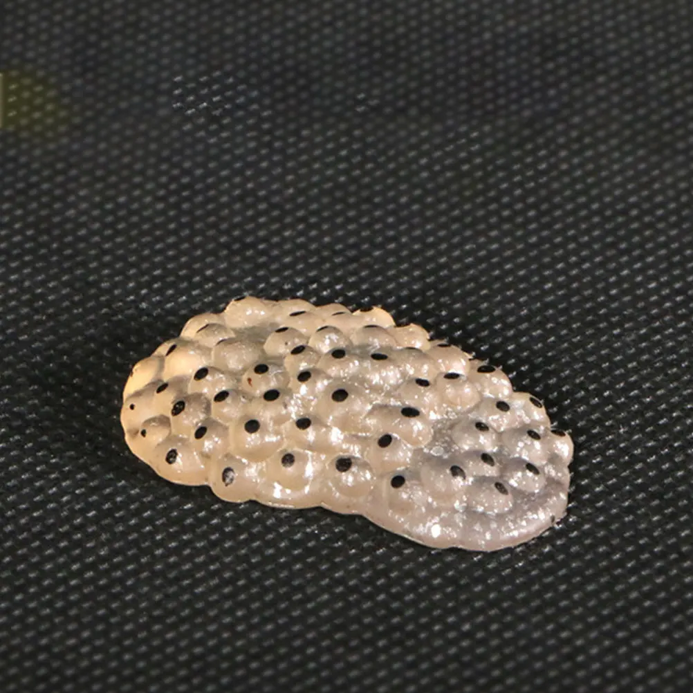 

1Set Frog Handmade Decor Delicate Tadpole to Frog Growth Stage Art Craft Aesthetic Desktop Decoration for Home