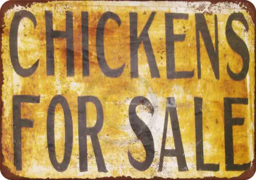 Chickens For Sale Reproduction Metal Sign 8 x 12