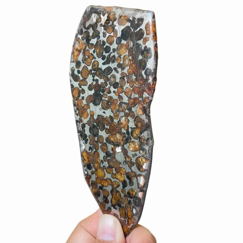 Natural Sericho Pallasite Meteorite Polished Irregular Slice Transparent Olivine Crystal Space Collectible TA814