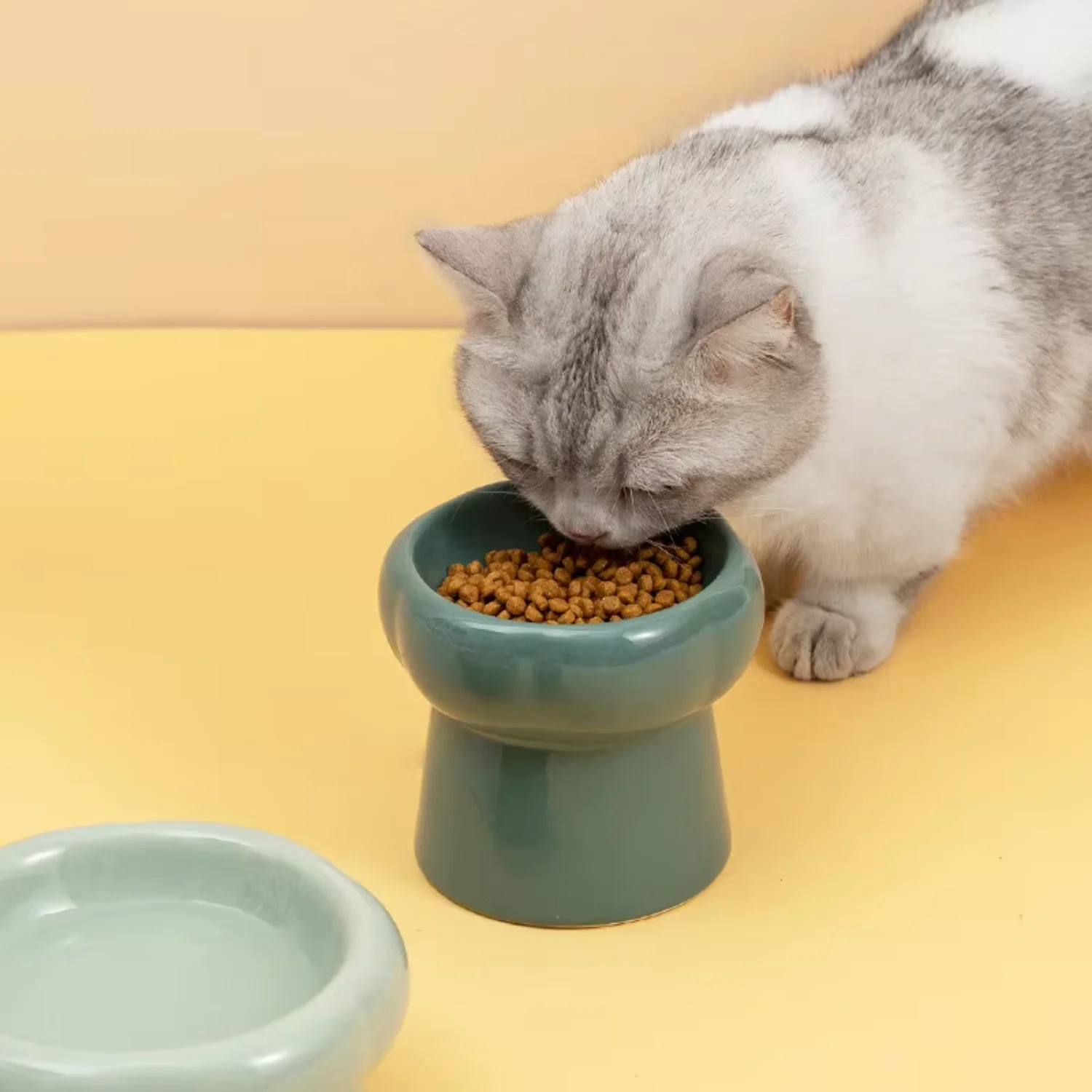 Slow Feeder Protect Cervical Spine Cartoon Style High Foot Ceramic Elevated Raised Dog Cat Tall Feed Bowls