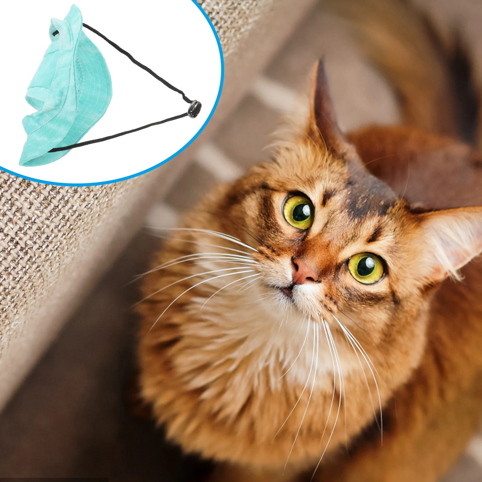 

Pet Adjustable Bucket Hat Ear Holes Sun Protection Outdoor Caps for Small Medium Dogs Cats Costume for Cat Pet Headwear