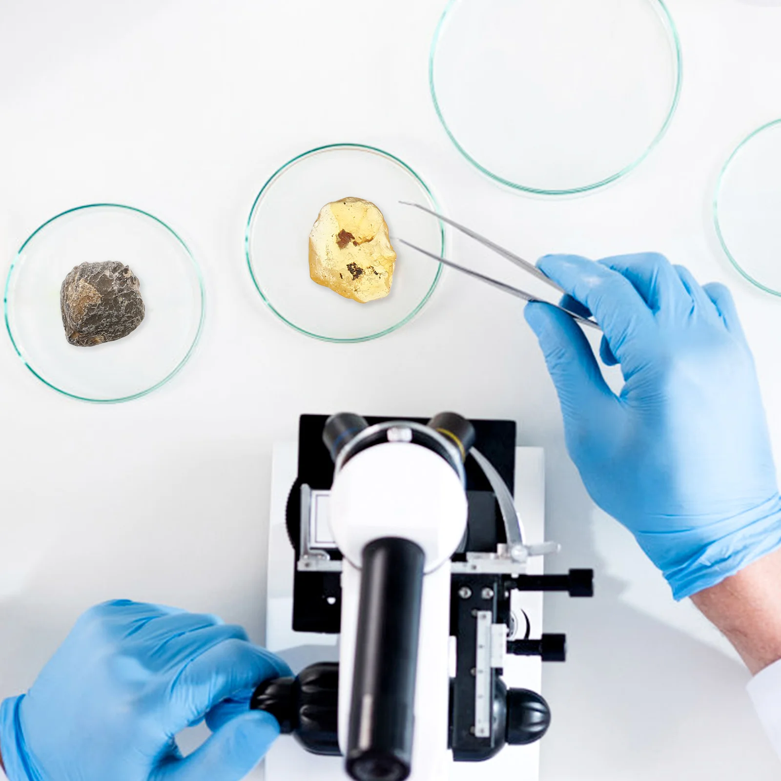 

10pcs Specimen Box Amber Trilobite Ichthyodont Copal Teaching Tool Paleontology Decorations Scientific