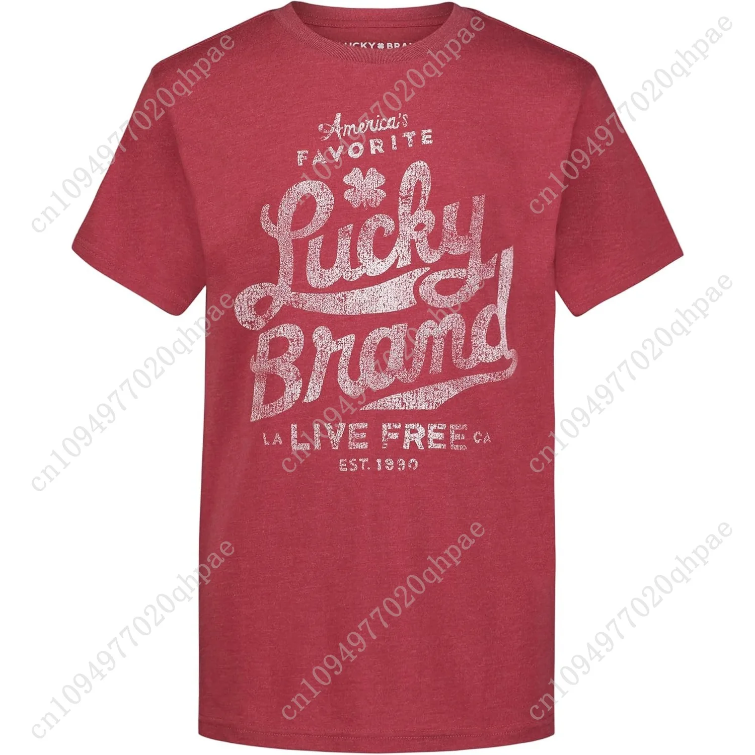 Big Legacy T-shirt met korte mouwen en ronde hals voor jongens van Lucky Brand