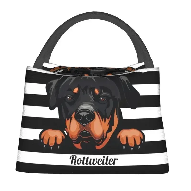 Sac à lunch personnalisé Peeking Dog Rottweiler pour hommes et femmes, glacière chaude, boîte à lunch isolée pour le bureau, sacs à lunch de voyage