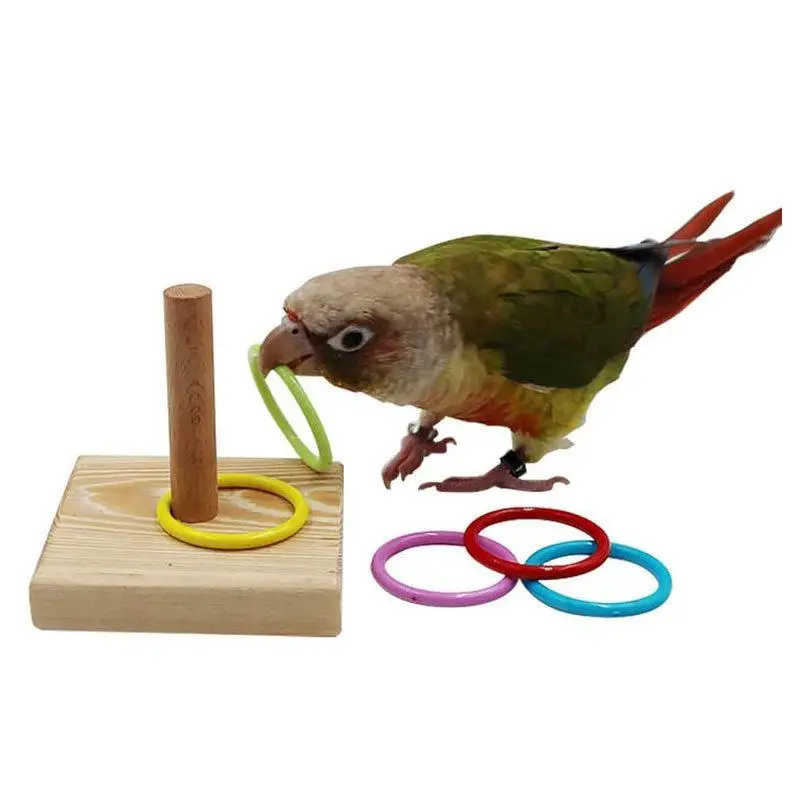Bird Training Ring Toy Parrot Educational Interactive Accessory  Set For Enhancing Bird Skills And Playtime
