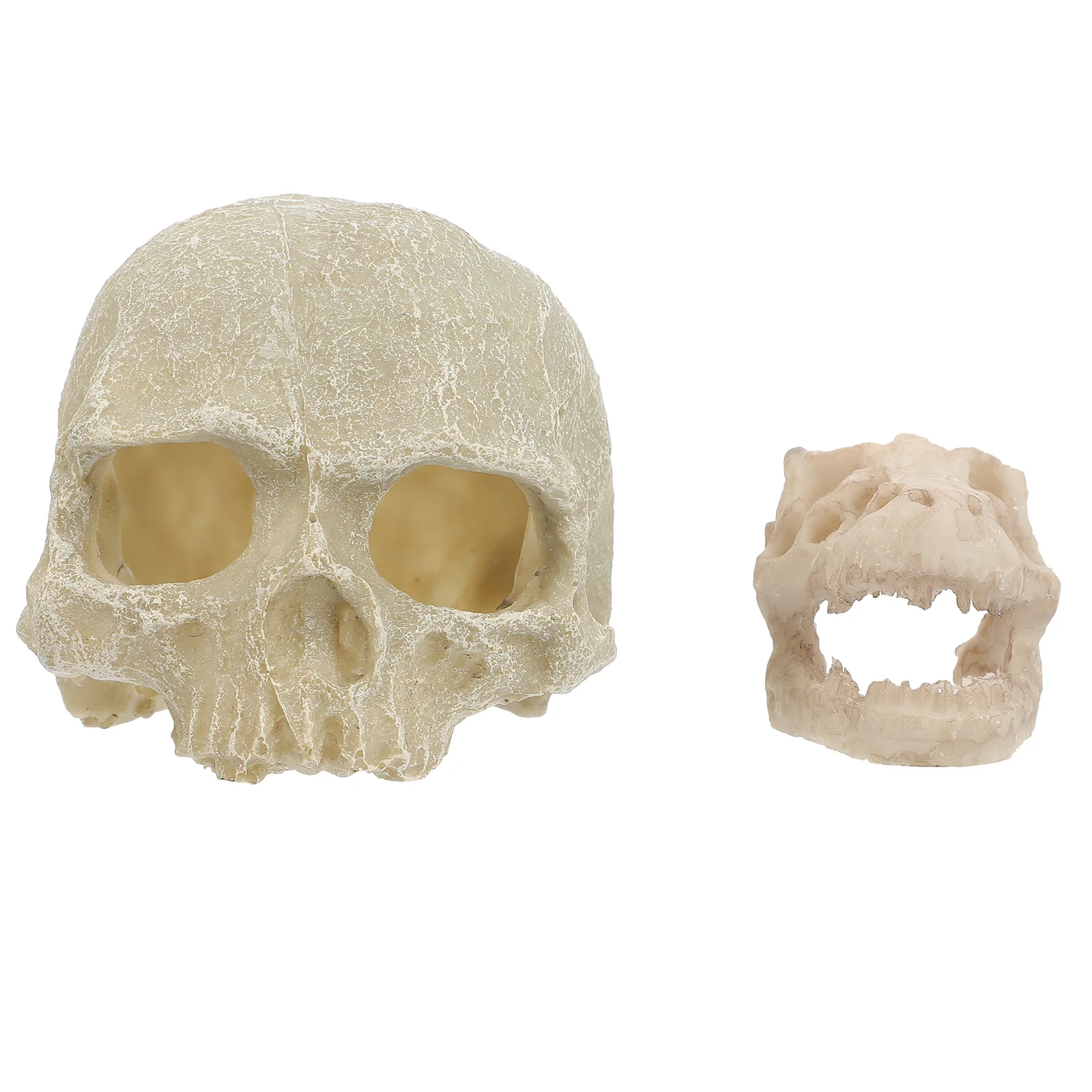 

2Pcs Skull Shape Fish Tank Decoration Resin Aquarium Ornament Artificial Skull Resin Craft Landscape Hideout Cave