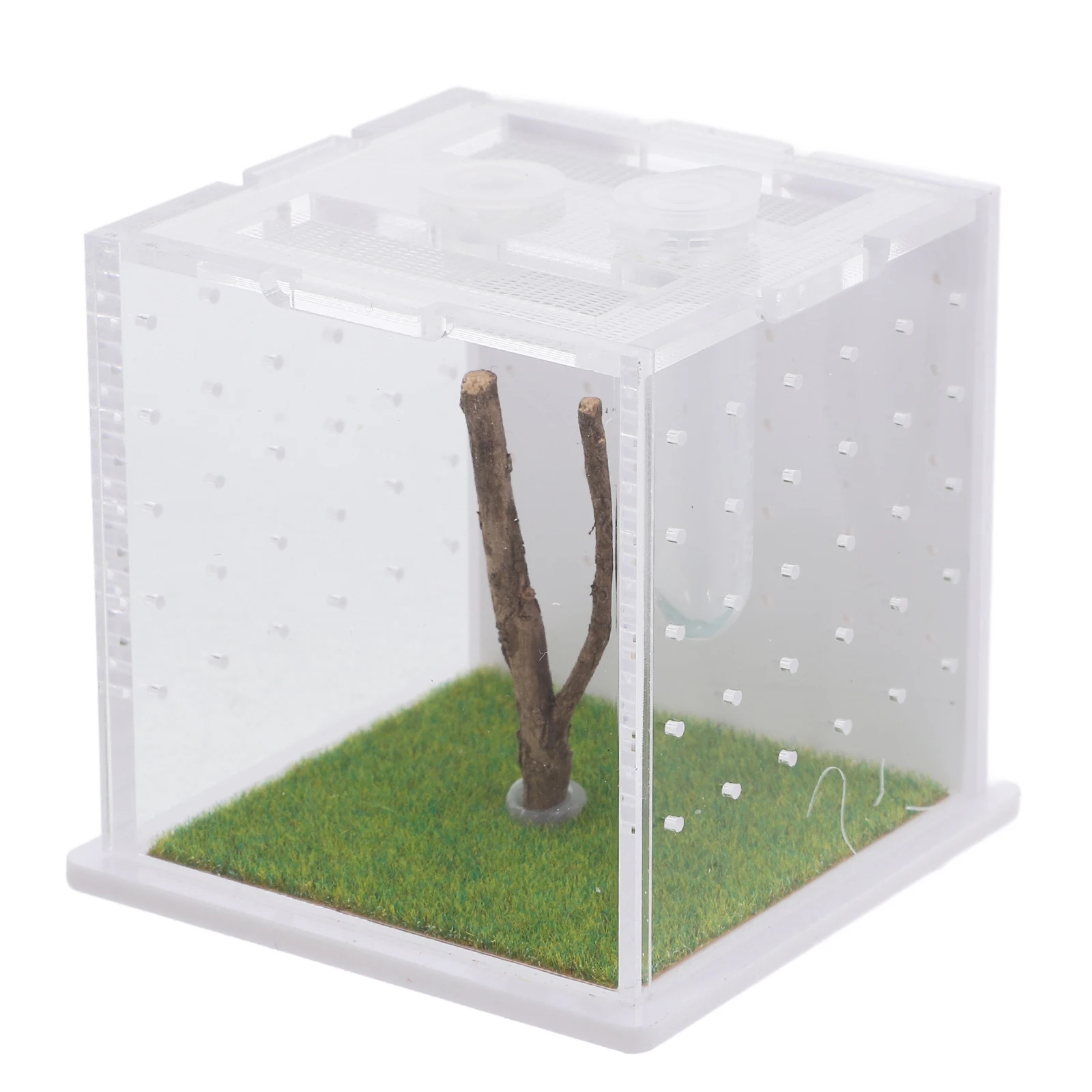 

Jumping Spider Terrarium Small Insect Feeding Box Transparent Breathing Holes Reptile Container Pet Display Box Breeding