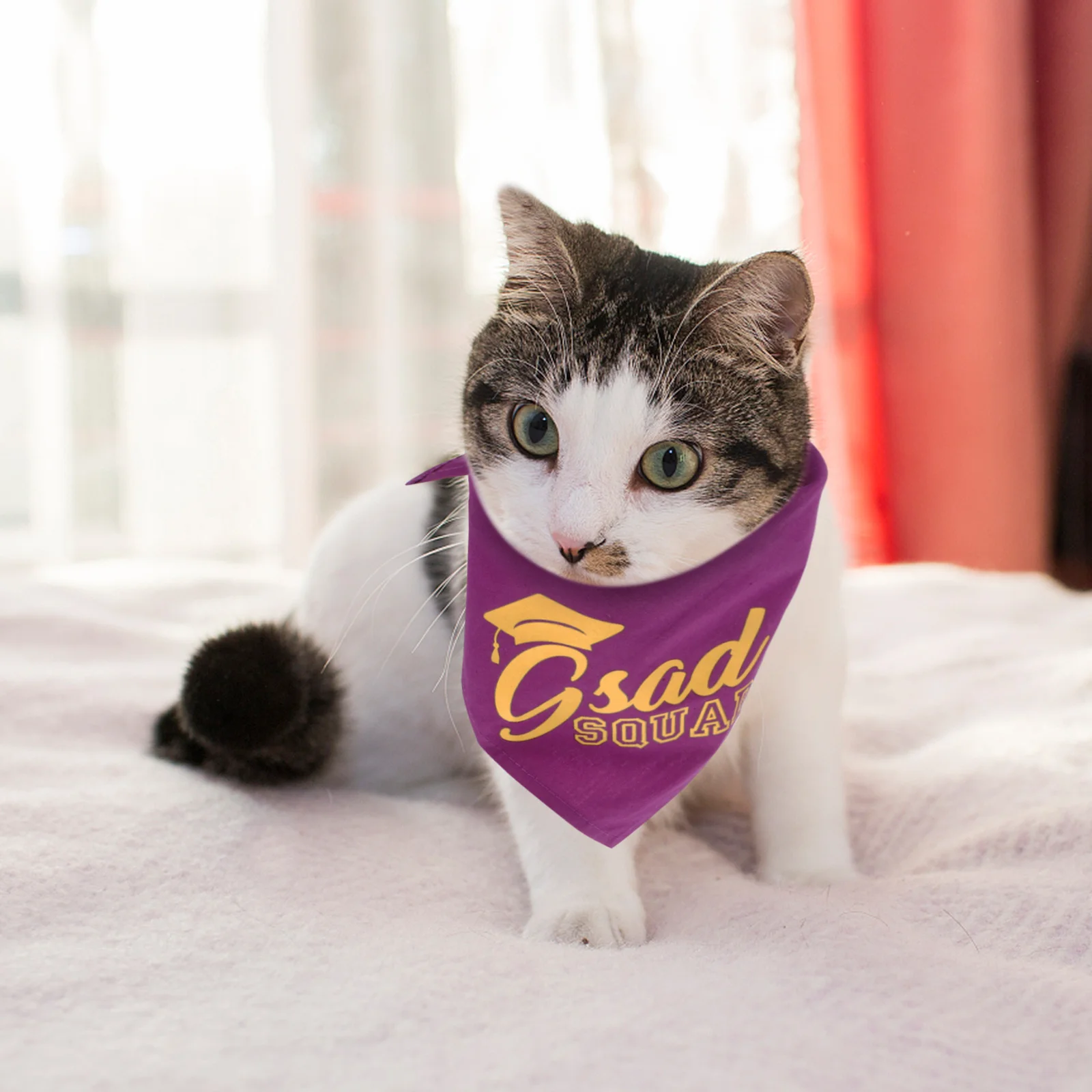 

Pet Graduation Bandana Adjustable Cotton Dog Bib for Small Large Puppies Cats Graduation Party Photo Props Accessory Decor