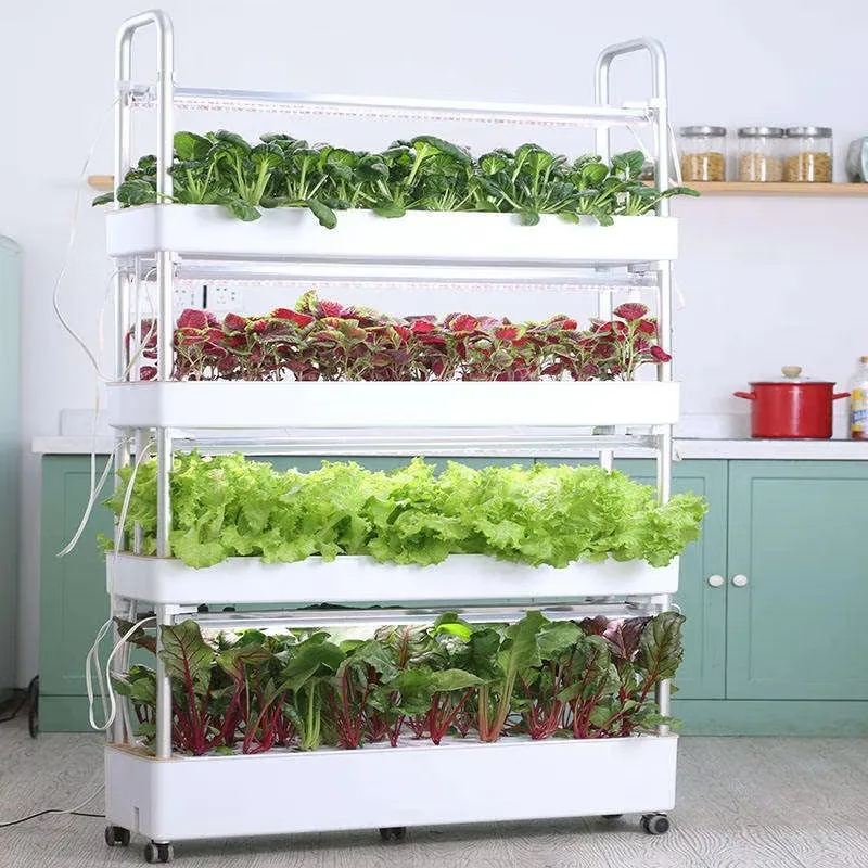 120 فتحة معدات الزراعة المائية للري نظام زراعة المائية للحديقة الداخلية الذكية لزراعة أوراق الخضروات