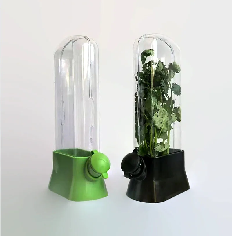 Customizable Vanilla vegetable preservation box Anti pressure damage Environmentally fresh-keeping device Cilantro
