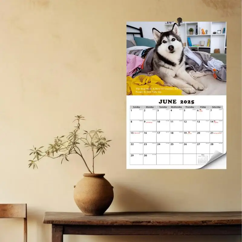 Funny Dog Calendar 2025 Yearly Planner Wall Calendar Monthly Calendar 13 Month Calendar Thick Paper 2025 Calendar Huskies