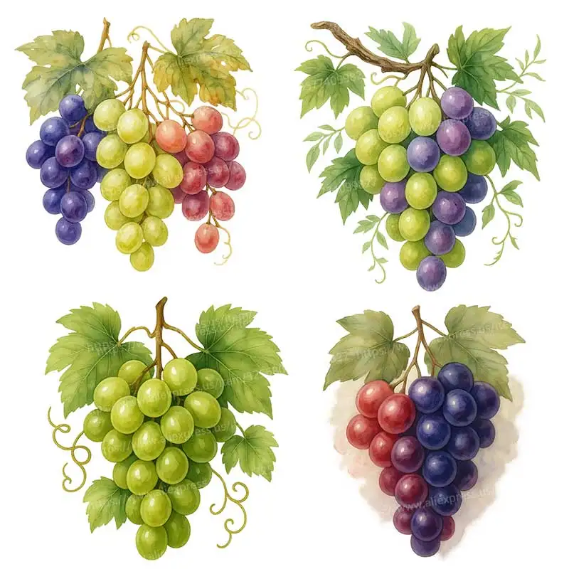 Vibrant Grapes Bundle Wall Stickers Kitchen Decoration Dining Room Living Room Cabinet Refrigerator Home Decoration M1283