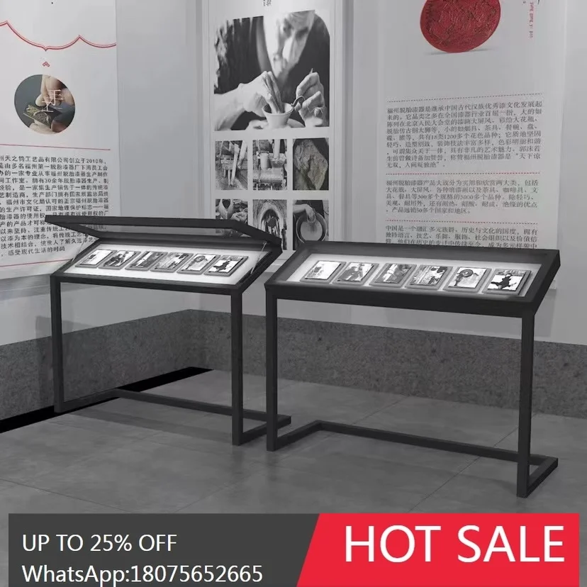 RWJ Metal Hydraulic Flip Paint Glass Cabinet Museum Showcase