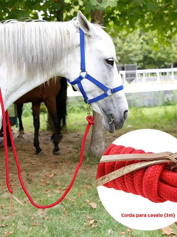 耐久性のある滑り止めカバコン馬用リードロープ、カウボーイスタイルの馬用ヘッドストール、乗馬とトレーニング用具