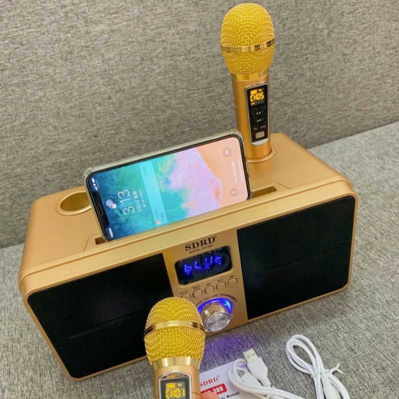 Сабвуфер SD309 высокой мощности 30 Вт с двумя ручными беспроводными микрофонами