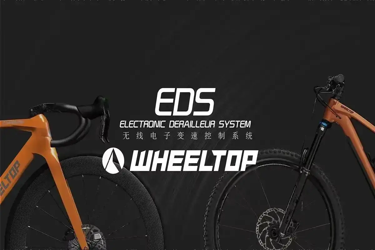 WHEELTOP EDS TX Drahtloses Elektronisches Rennrad-Gruppenset 2x7-13 Gang Carbon/Aluminium Schalthebel Felgen-Scheibenbremse Vorder- und Hinterradgetriebe – Detail 1