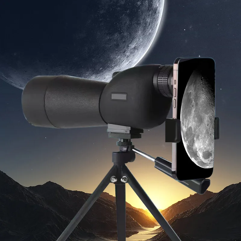 Category image: Birdwatching