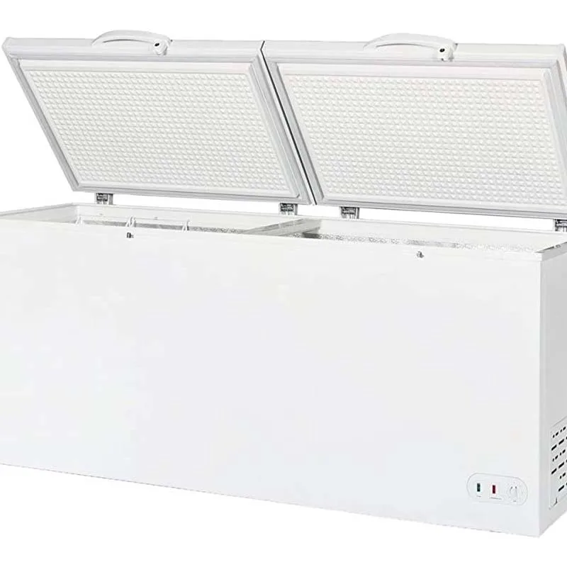 

Large Capacity Chest Freezers Single Temperature Deep Chiller 100 Liter Commercial Freezer Price 2025