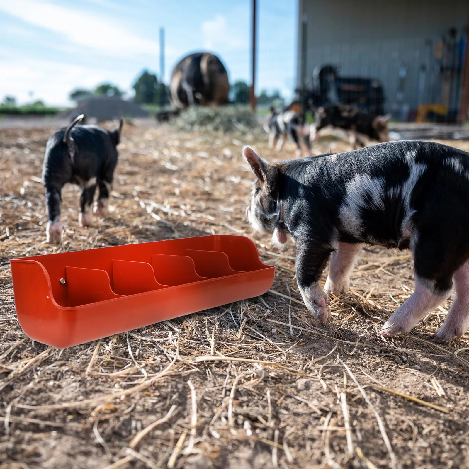 Accessories Pig Feed Trough Baby Chicken Feeder Livestock Feeding Tray Pp Plastic Groove