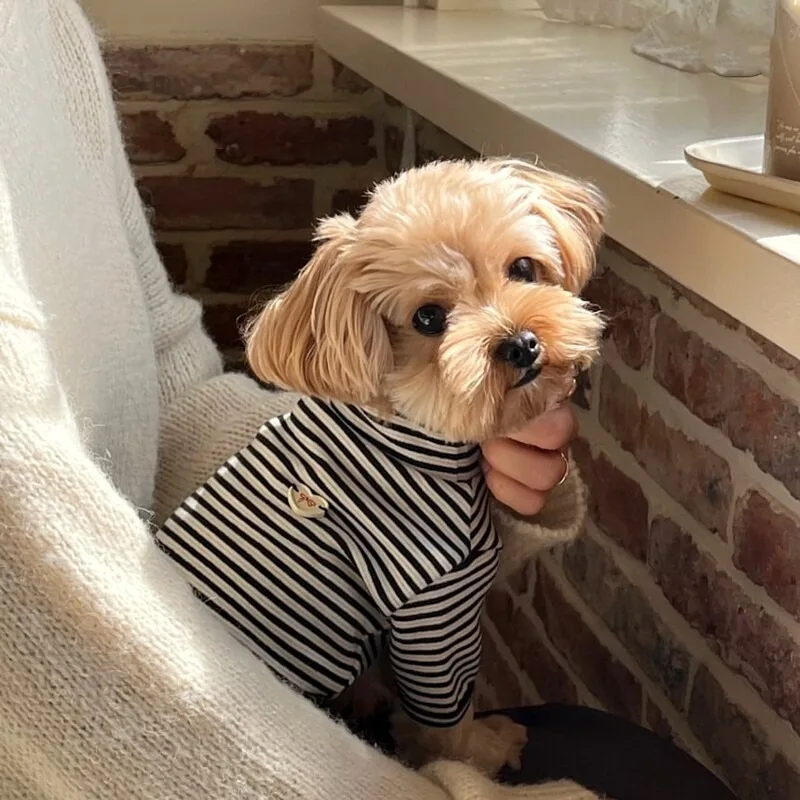Warm Pet Base Layer, Striped Vest & Cartoon Pullover for Teddy & Bichon Frisé, Soft Winter Dog Clothes for Small & Medium Dogs