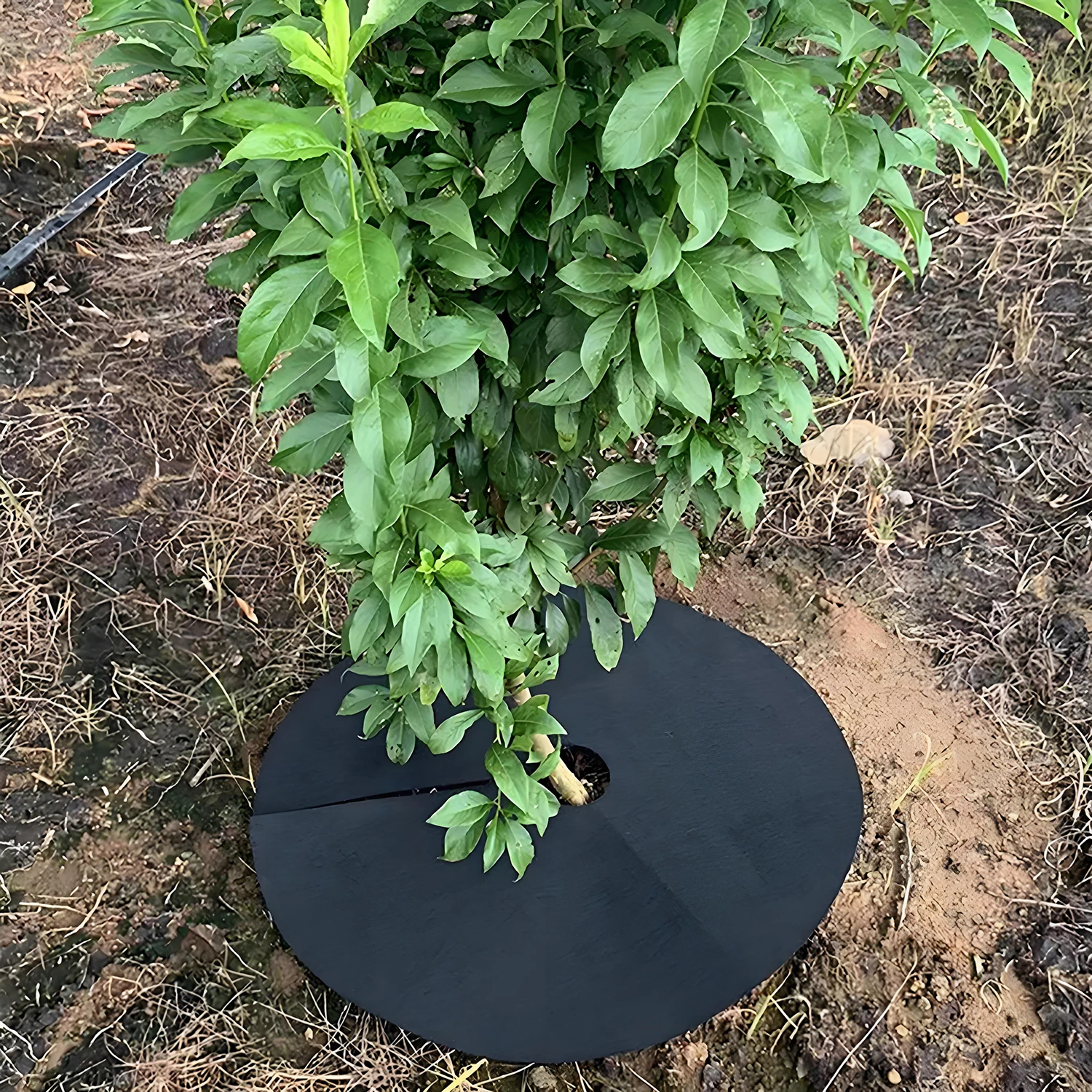 5Pcs Tree Weed Barrier Mat 32/42/52cm Moisturizing Weed Control Non Woven Mulch Fabric for Orchard Garden Flower Bed Landscape