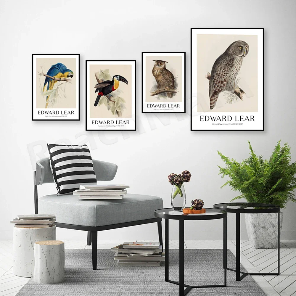 إدوارد لير - Macrocercus Ararauna، بومة النسر، طباعة فنية الببغاء الأزرق والأصفر، ملصق نباتي