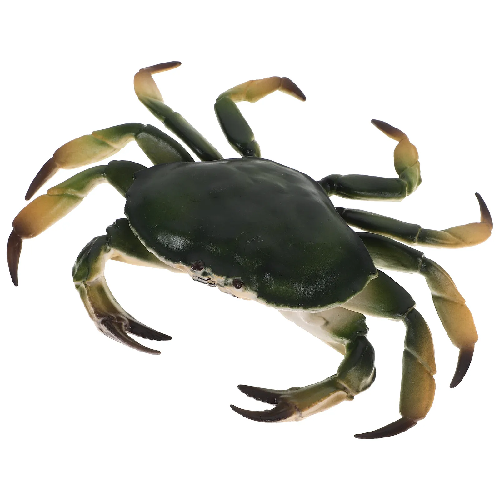 

Realistic Plastic Crab Decoration for Room Garden Nursery Home Vivid Animal Style Educational Display Lifelike Simulation