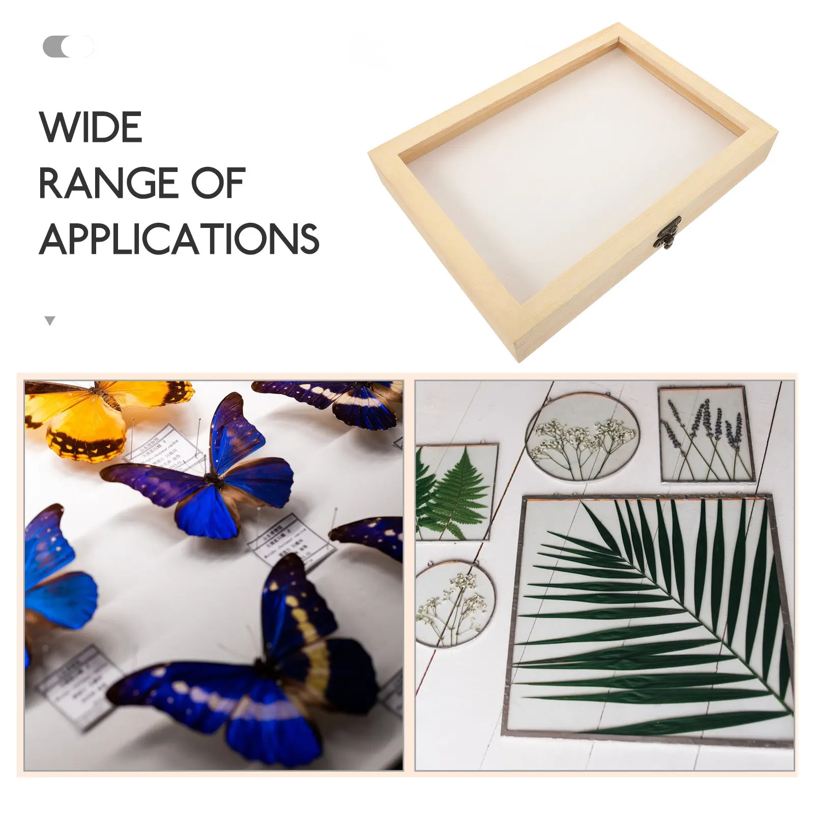 Butterfly Display Box Unfinished Pine Wood Shadow Box with Crystal Clear Lid Eva Foam Insert Specimen Showcase Insect