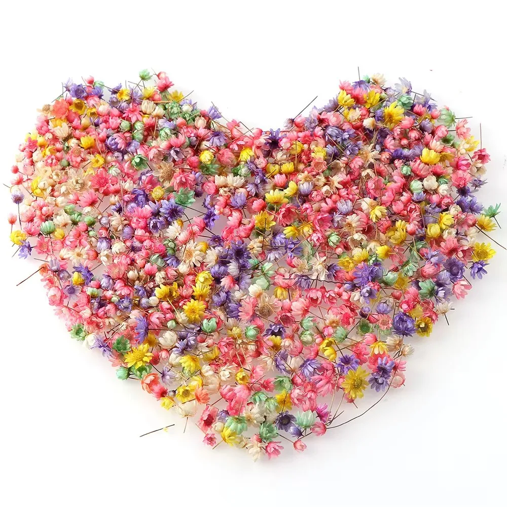 100/200 Stück Künstliche Getrocknete Blumen Kleine Sternblumen DIY Handwerk Epoxidharz Kerzen Nagelkunst Epoxidharz-Füllung Schmuckherstellung