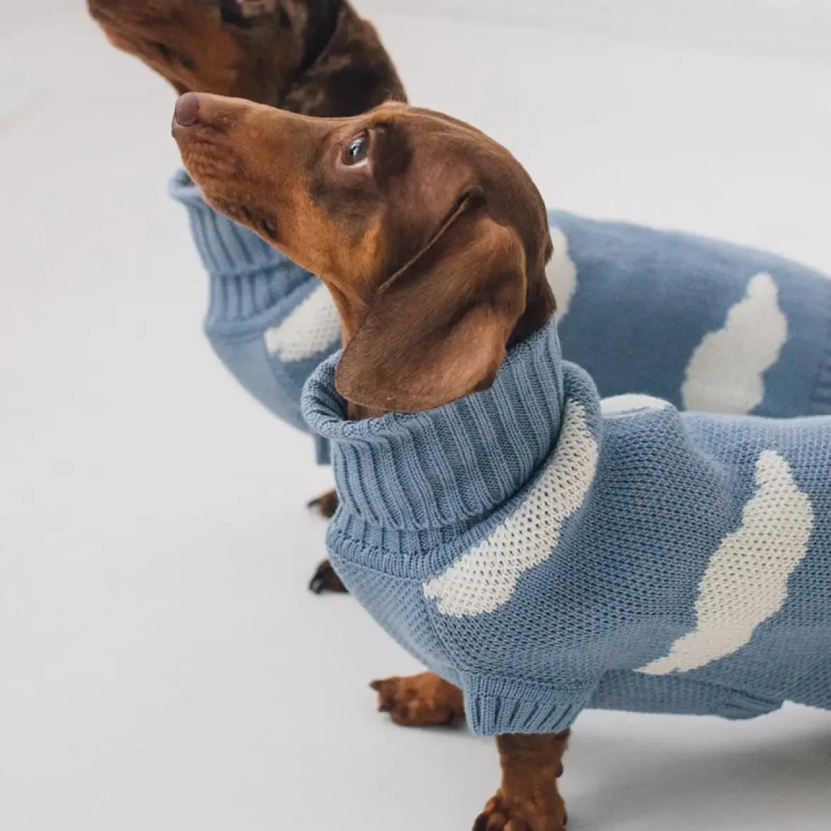 Clothes for Wiener Dog Plush Wool Coat Warm Sweater for Dog Badger Clothing Winter Outwear for Dachshund Small Dogs Pet Products