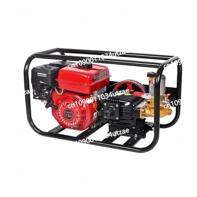 High Pressure Four Stroke Gasoline Agricultural Three-cylinder Plunger Pump Sprayer Garden Mountain Fruit Trees Sprayer