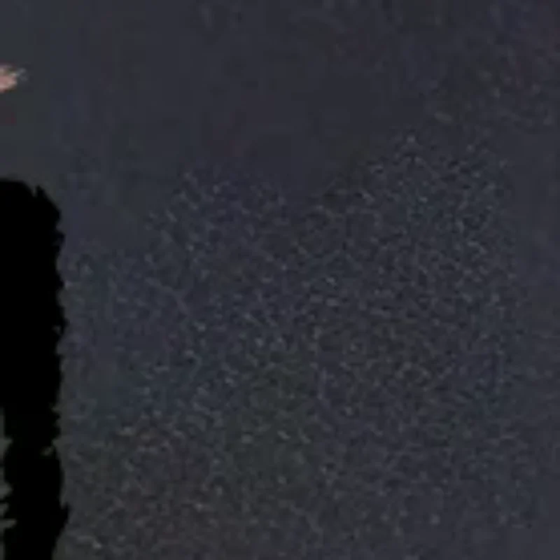 2/5PCS Chocfox Cfx …