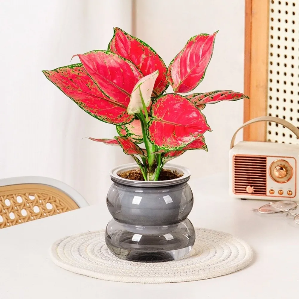 

Fashion Self Watering Hydroponic Plants Pot Removable Transparent Flowerpot Plastic Mini Succulent Planter Tabletop Vase