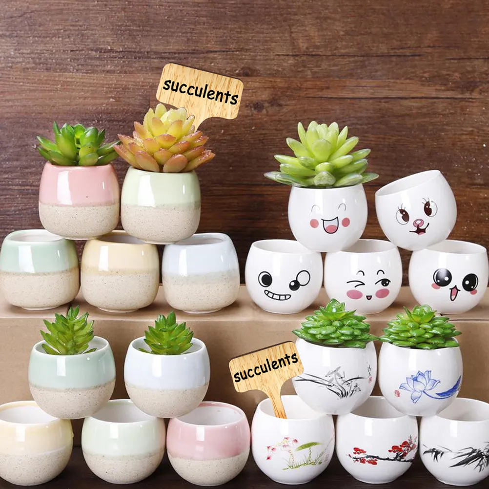 

1Set Wooden Plant Labels T Shape Engraved Eco Friendly Garden Marker Small Lightweight for Succulent Home Botanical Store