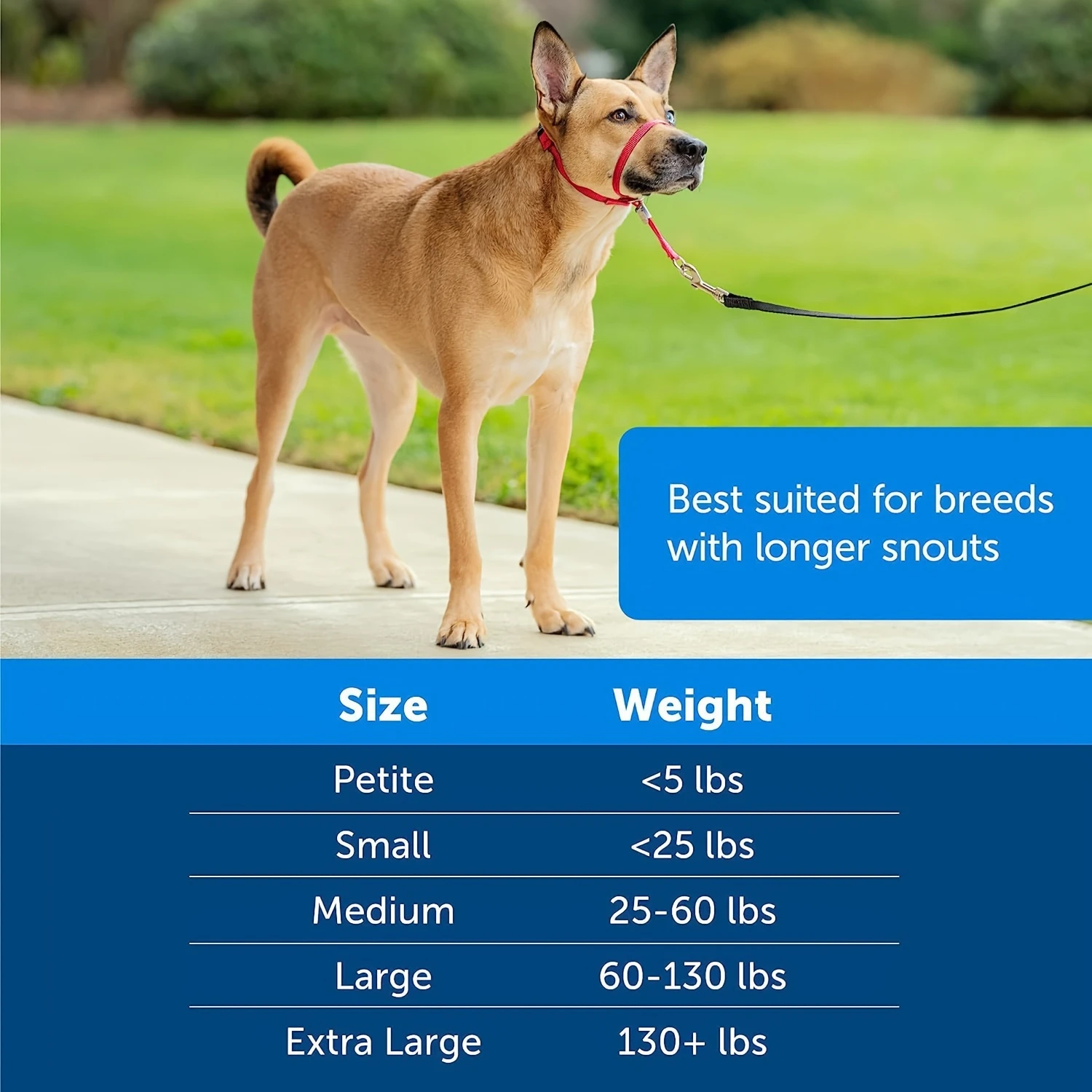 طوق رأس الكلب من النايلون، كمامة مبطنة ناعمة، غطاء فم قفص لطيف، أداة تدريب غير قابلة للسحب، ملحق متوسط السلالة مع Le #3