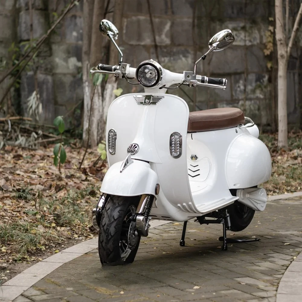 2륜 차량 EEC L3e 전동 스쿠터 저렴한 연료 비용 및 거의 유지 관리가 필요 없음