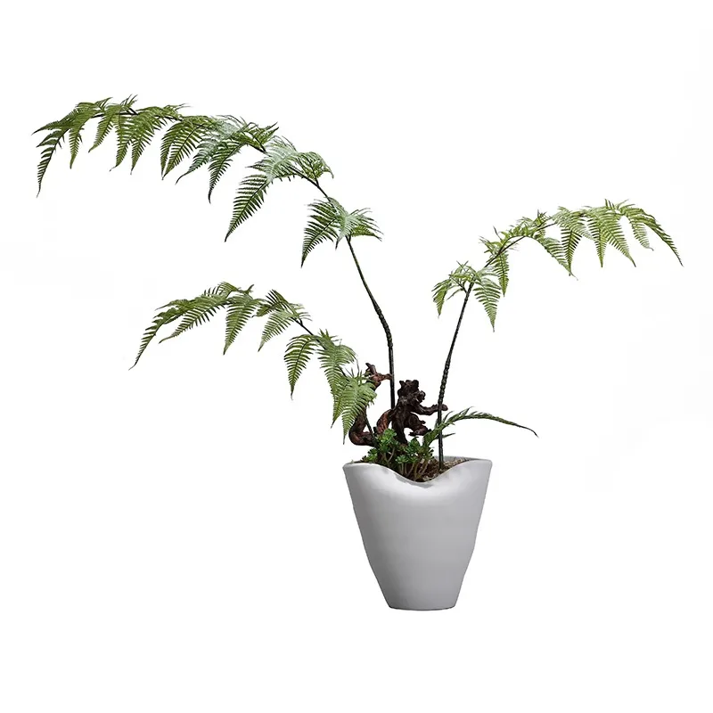 New Chinese Style Minimalist Simulation Fern Grass Green Plant Bonsai Foyer Bar Counter Coffee Table Sales Department Decoration