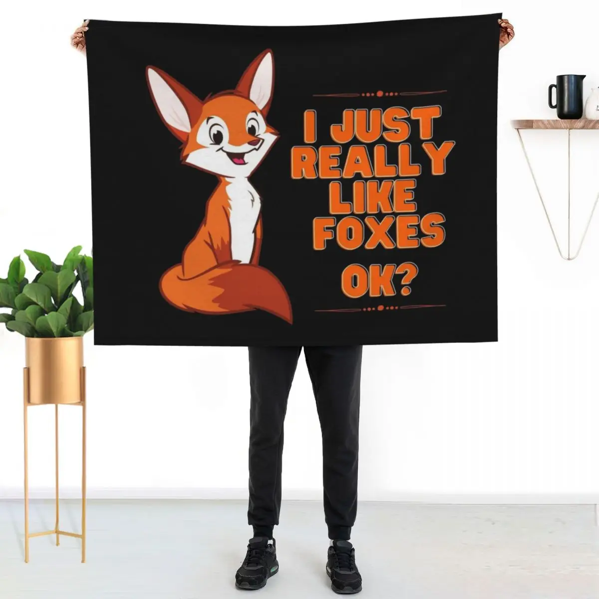 

I Just Really Like Foxes Ok Throw Blanket Decorative Soft Throw Blanket for Couch Sofa