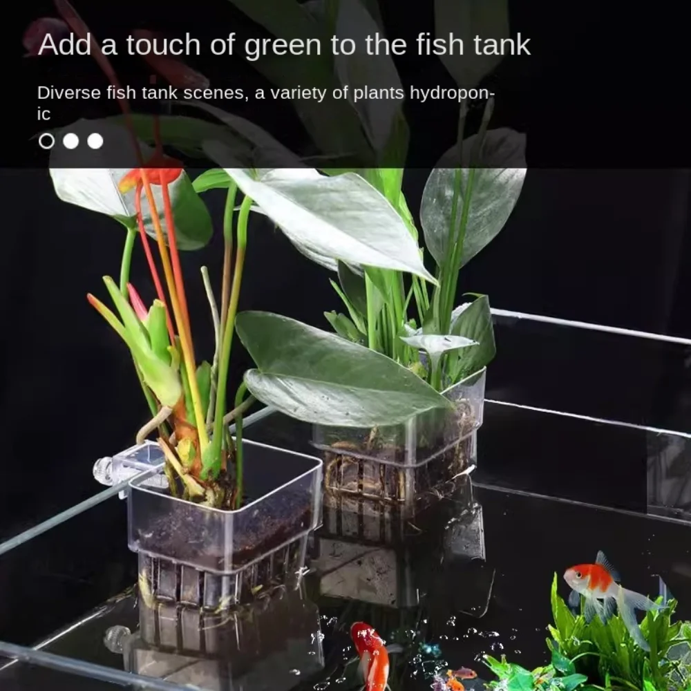 ตะกร้าปลูกพืชไฮโดรโปนิกส์สำหรั - Planted Tank บทวิจารณ์และราคา