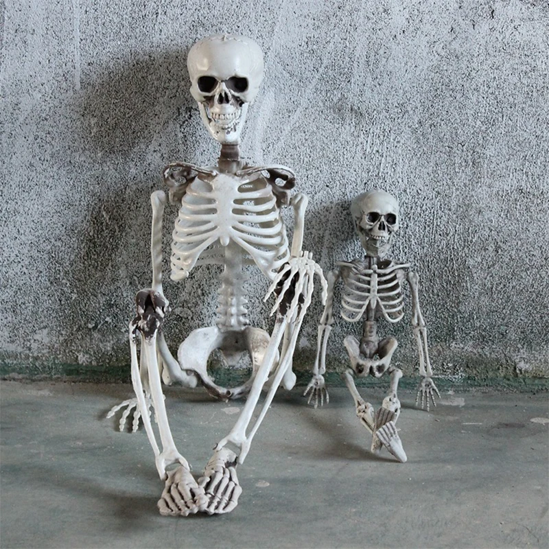 Halloween Skeleton Props, Human Skeleton, Horror Bone, Halloween Decorations, Club Bar, 40 cm, 90 cm, 170cm