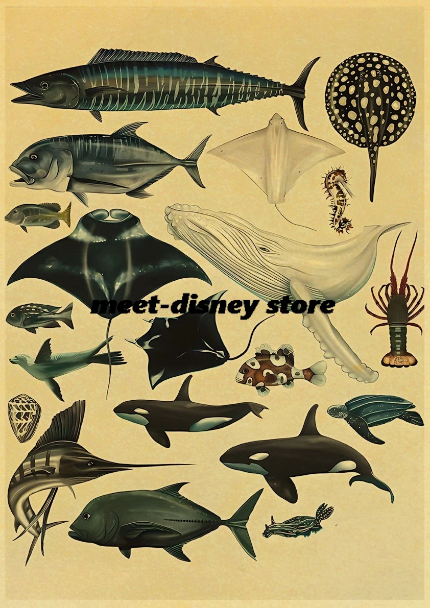 โปสเตอร์วาฬและฉลามสัตว์ทะเลกระ - Aquarium Fish Poster บทวิจารณ์และราคา