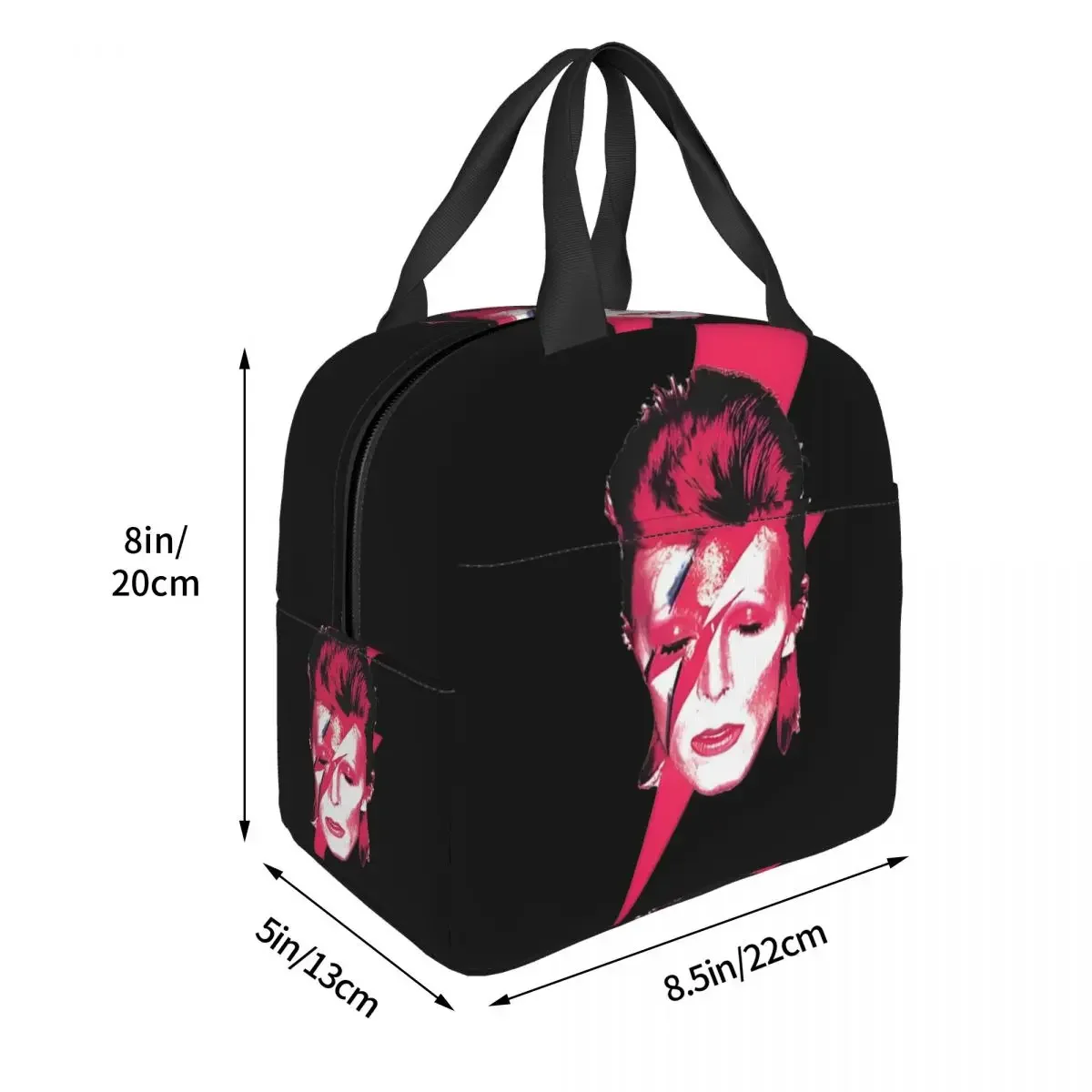 Singer Actor Insulated Lunch Bag Leakproof Davids Bowies Meal Container Cooler Bag Tote Lunch Box Office Picnic Food Handbags