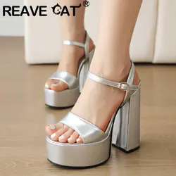 REAVE CAT Design Women Sandals Peep Toe Chunky Heel 14cm Platform Hill 5cm Buckle Strap Sexy Dating Shoes Size 40 41 42 43