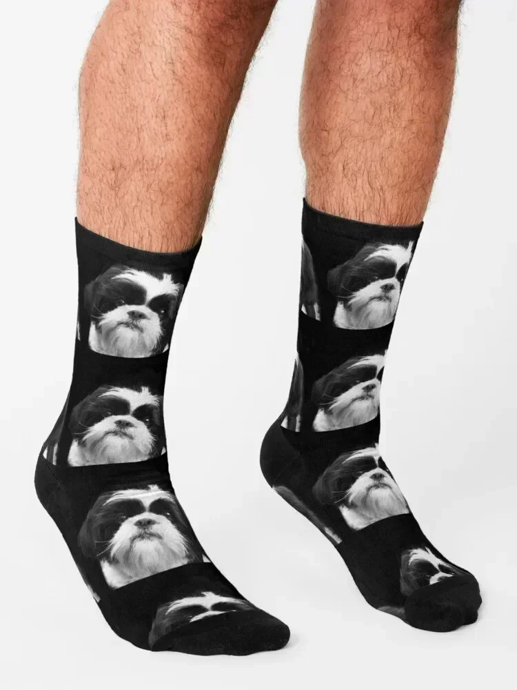Shih Tzu Dog Socks cotton colored Run sheer Male Socks Women's