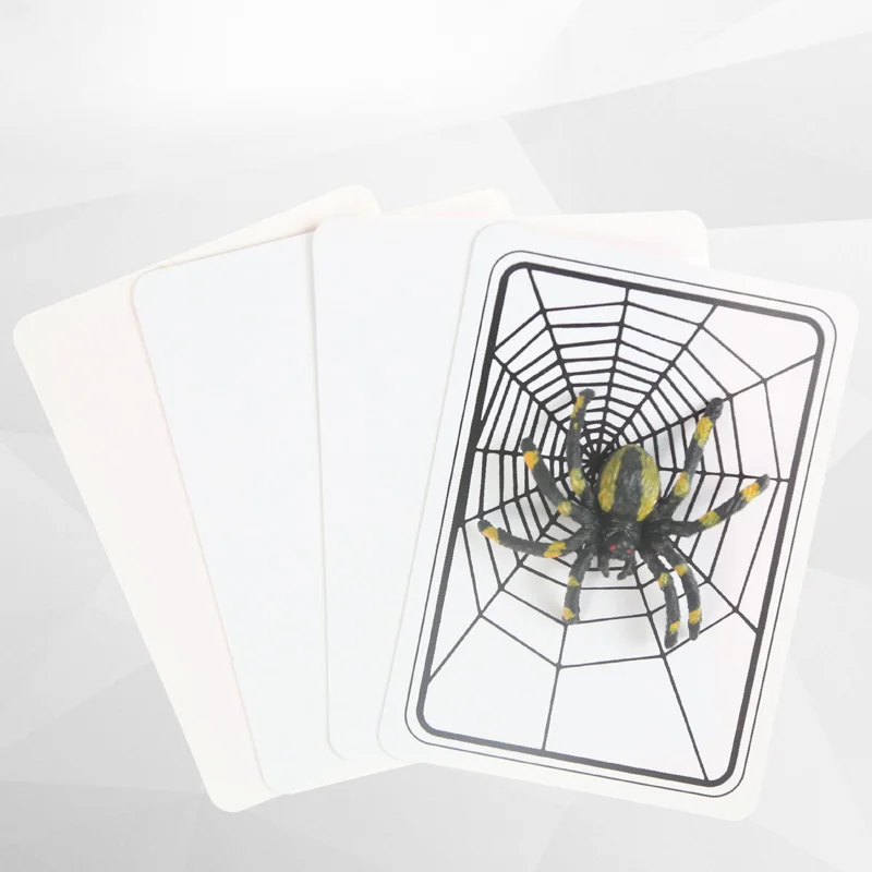 Spider And Net Magic Trick The Web Cards Toys Magician Gimmick Illusion Closed-Up  Props