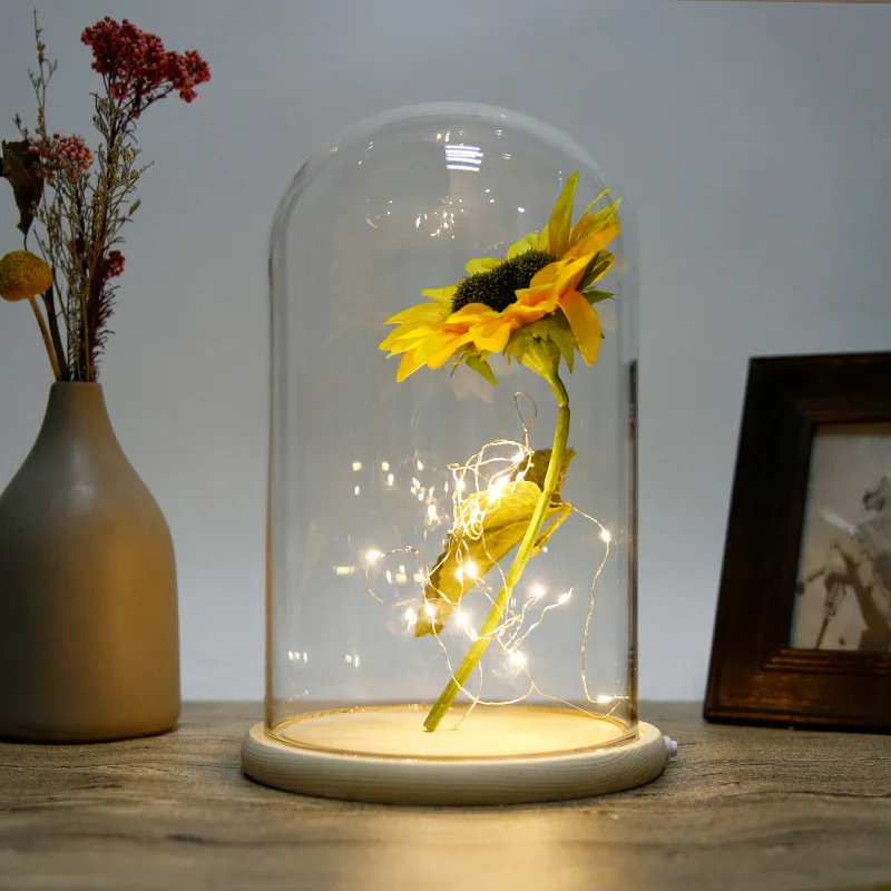 

Diameter=25cm Height=25cm 30cm 35cm 40cm Side Switch Luminous Log Base Glass Dome Decoration Transparent Cover DIY Gift Handmade