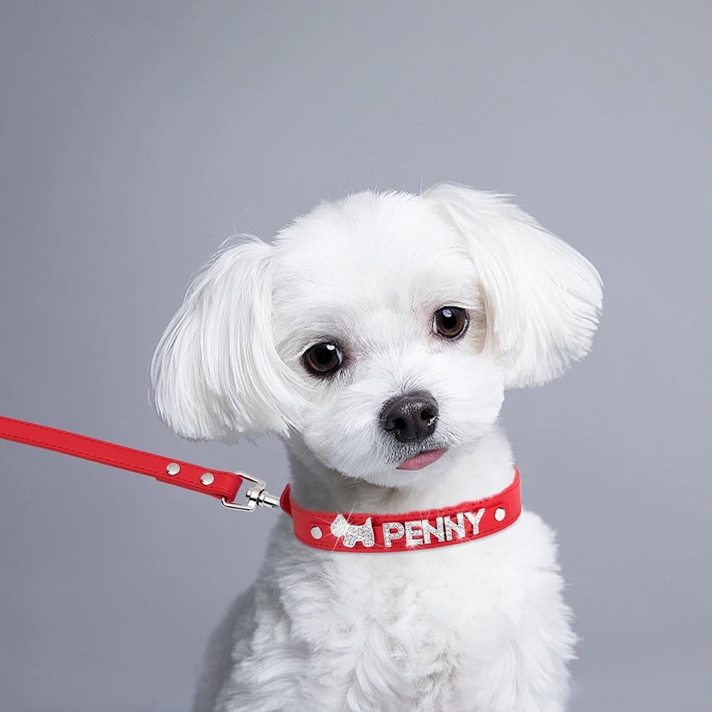 Collar de cuero personalizado para perro y cachorro, Correa con diamantes de imitación ostentosos, dijes de nombre gratis, Collar personalizado para