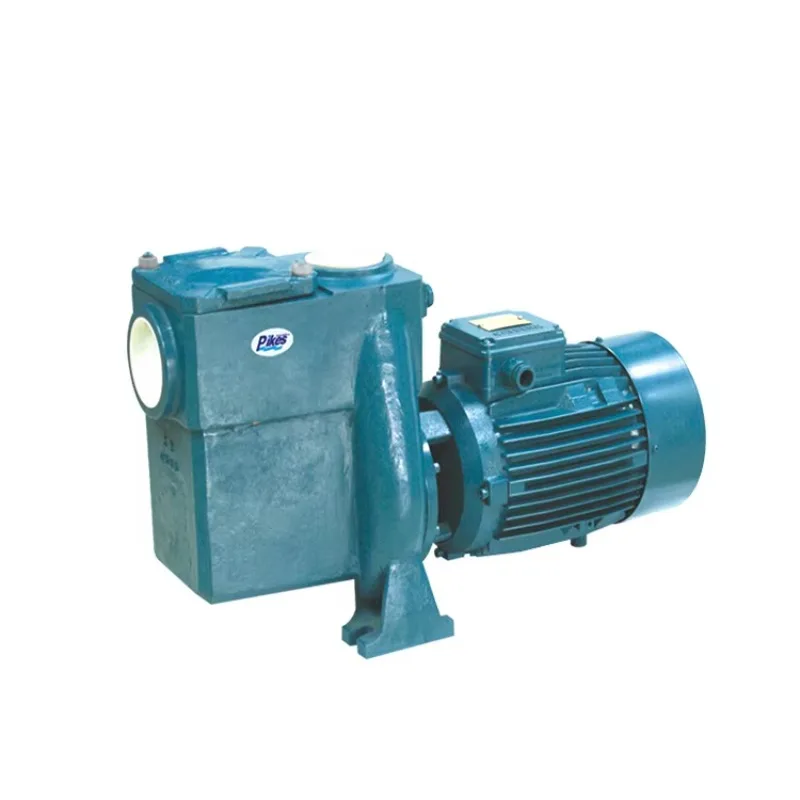 2024 PIKES Pompa Air Bahan Hebat Kolam Renang Seri RTS Filter Pompa Kolam Laju Aliran Tinggi