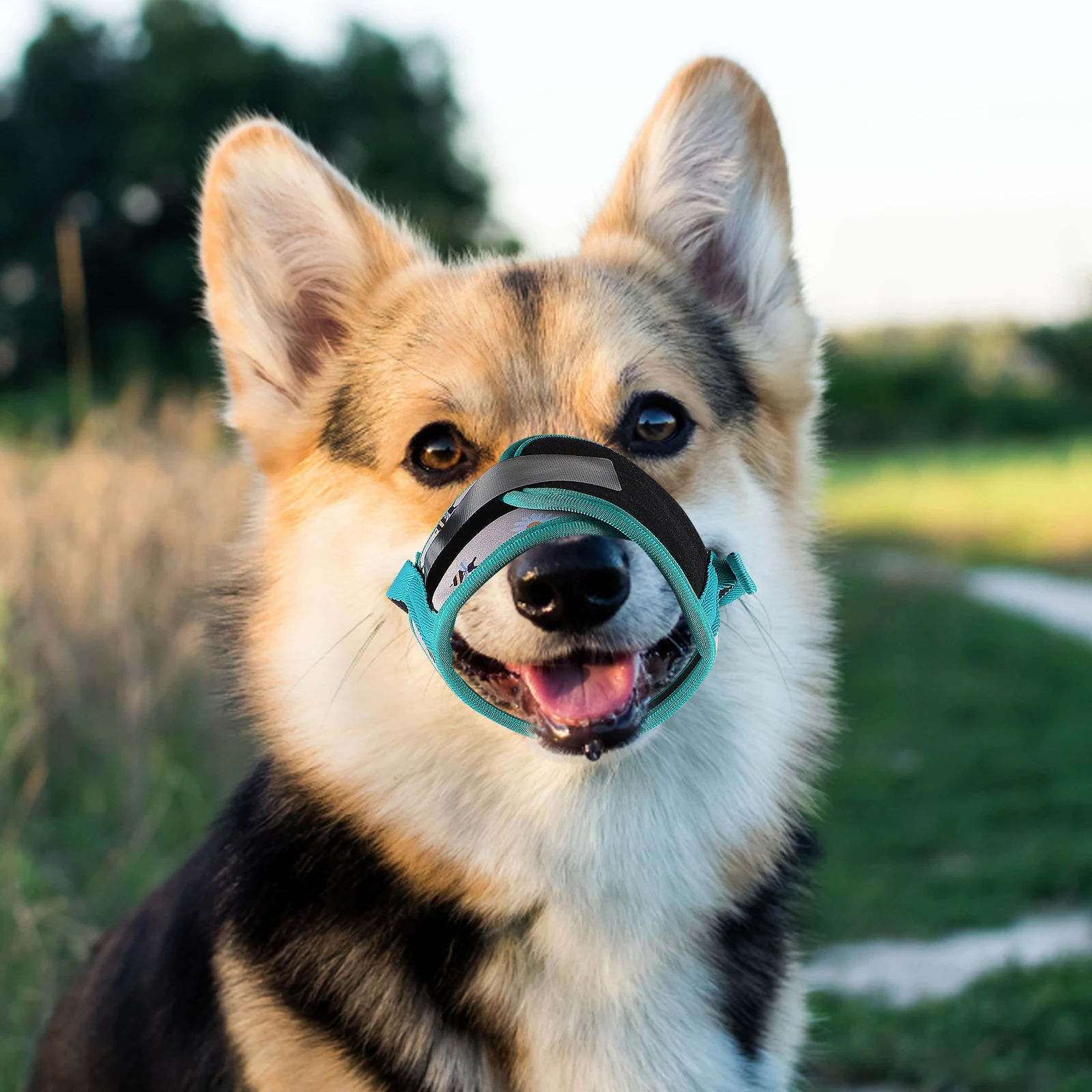

Adjustable Anti-Biting Adjustable Printed Anti-Biting Printed Muzzle For Polyester Chewing Muzzle Pet Supply
