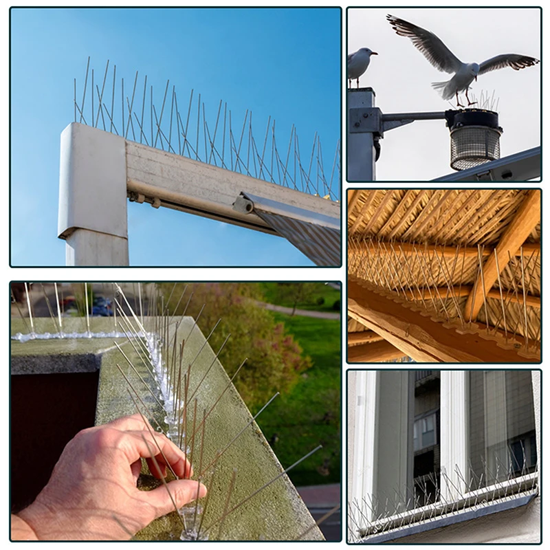 Mona anti-uccelli da balcone, kit chiodi spine 1 pezzo 25 cm, detersivo per piccioni in acciaio inossidabile per il controllo dei parassiti